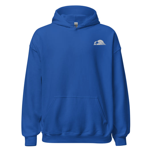 "Basic" Athleisure Hoodie